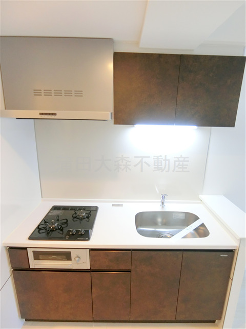 キッチン　2口ガスグリル付システムキッチン