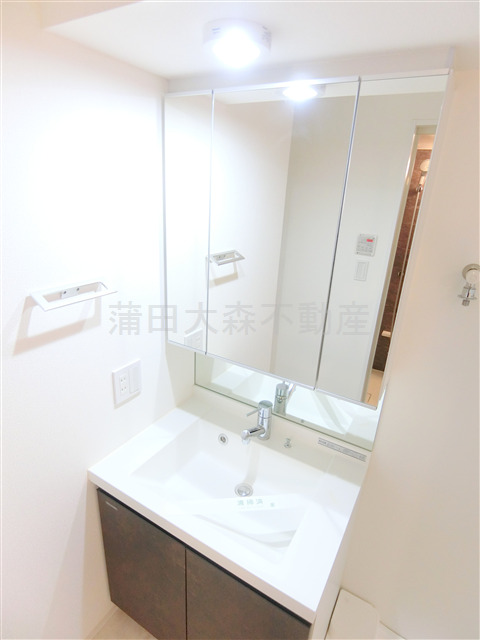 洗面設備　洗面脱衣所　3面鏡の独立洗面台　洗濯機置き場