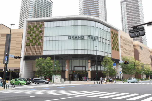 ショッピングセンター　グランツリー（ショッピングセンター）まで911m