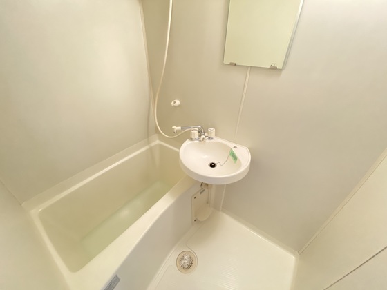 バス・シャワールーム　※別号室のお写真です