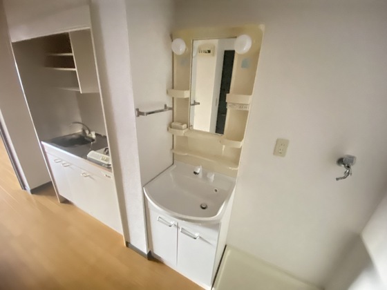 洗面設備　※別号室の写真です