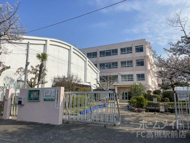 小学校　高槻市立寿栄小学校（小学校）まで595m