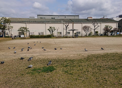 公園　菱江南公園（公園）まで811m