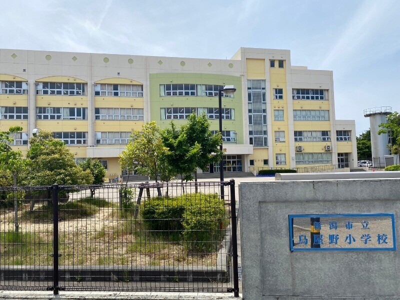 小学校　新潟市立鳥屋野小学校（小学校）まで812m