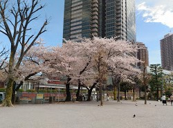 公園　恵比寿南一公園（公園）まで593m