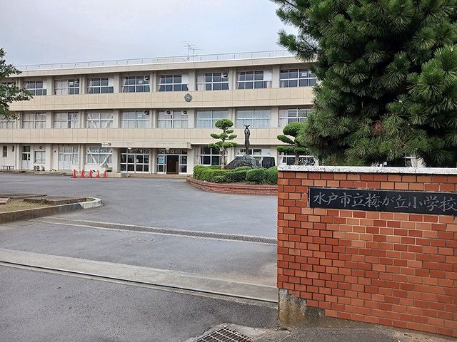 小学校　水戸市立梅が丘小学校（小学校）まで961m