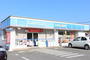 コンビニ　ローソン岩瀬青柳店（コンビニ）まで482m