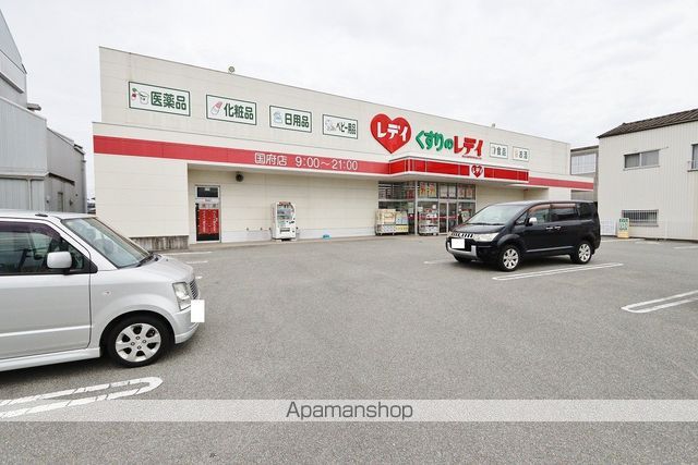 ドラックストア　くすりのレディ国府店（ドラッグストア）まで906m