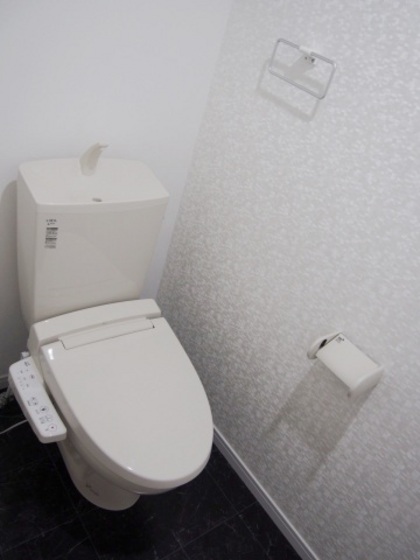 Maisonetic祇園のトイレ写真