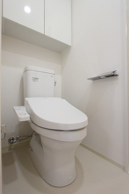 レアライズ押上IIのトイレ写真