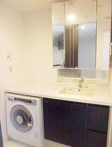洗面設備　参考写真：別部屋タイプ