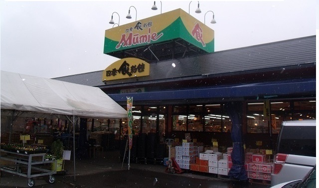 スーパー　ムーミー川島店さん（スーパー）まで1600m