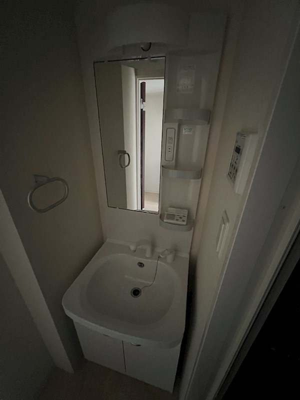 洗面設備　独立洗面台、小物を置くことができて便利です