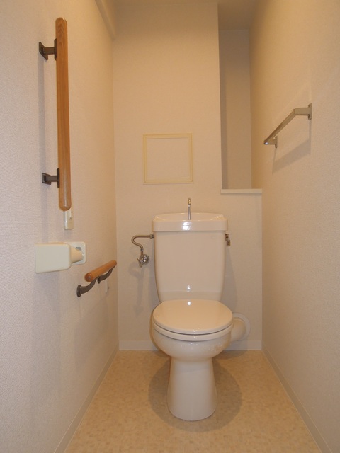 URフレール新開地6丁目のトイレ写真