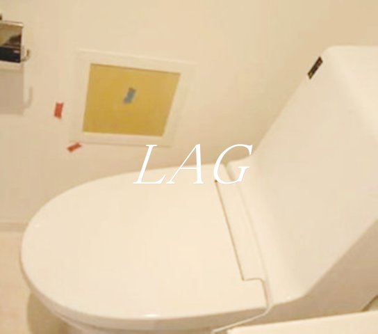 ＪＲ山手線 大崎駅 徒歩2分 15階建 築13年のトイレ写真