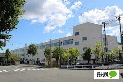 【札幌市厚別区青葉町のアパートの中学校】