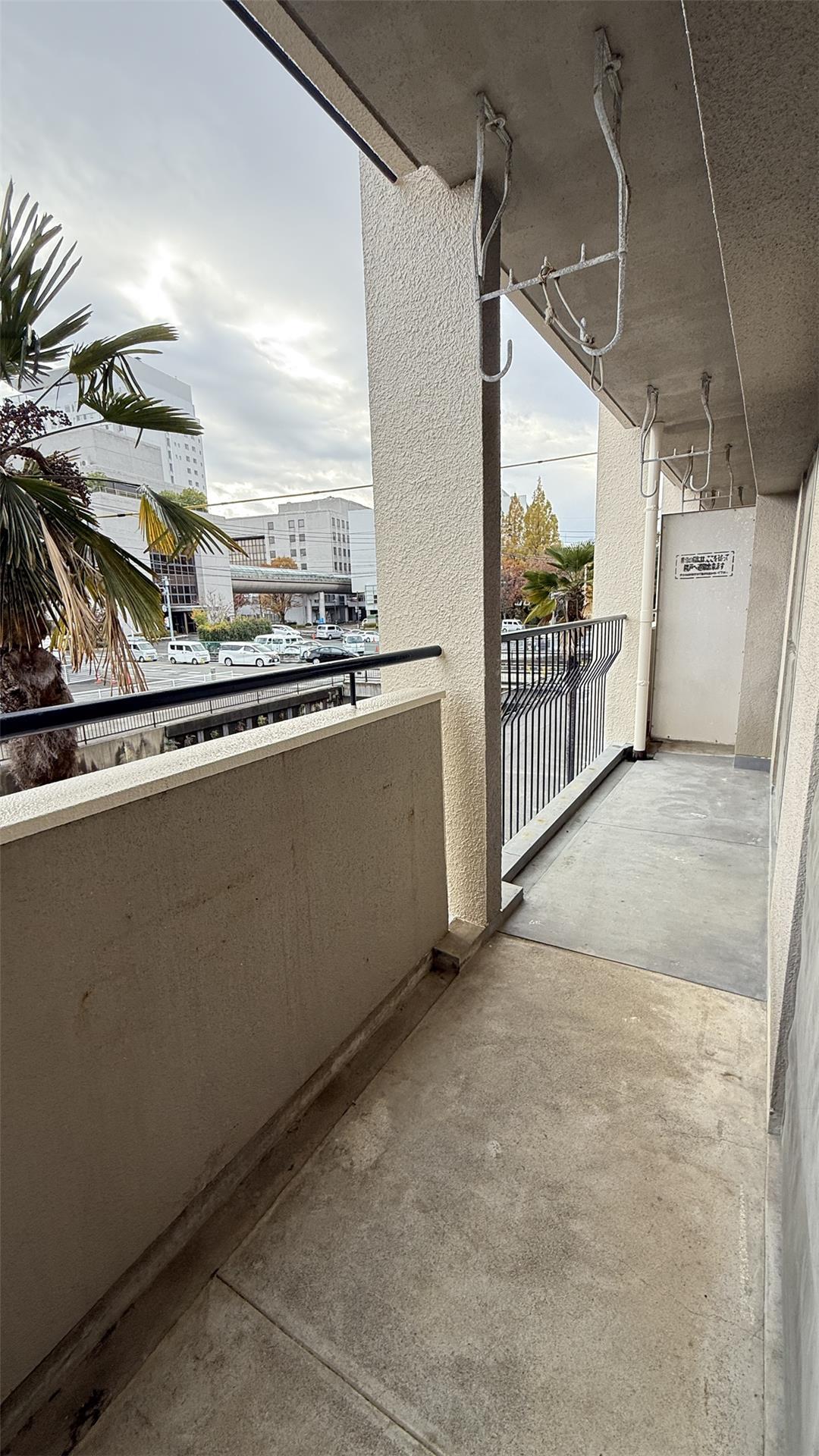 バルコニー　ベランダ側にはヤシの木を植栽として植えています。お天気がいい