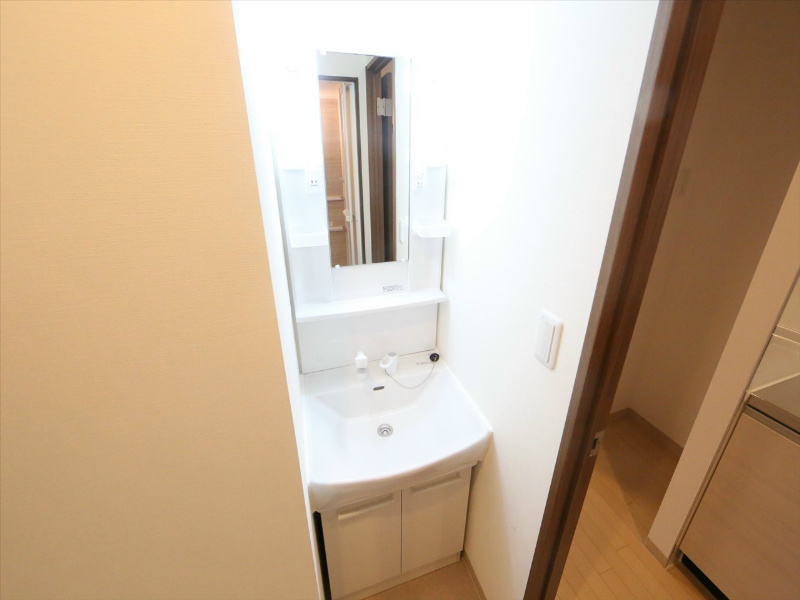 洗面設備　脱衣所　独立洗面台（シャンプードレッサー付）収納スペース有