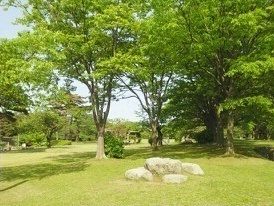 公園　赤坂山公園（公園）まで600m