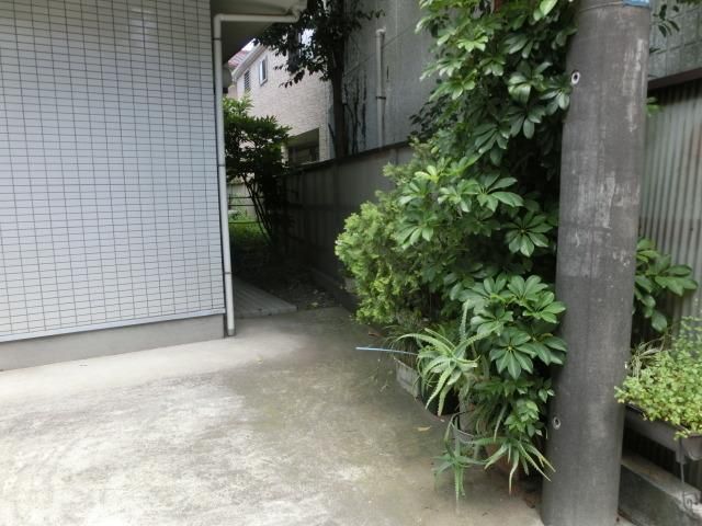 庭　植栽です