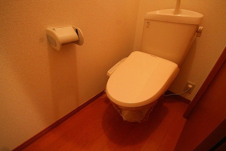 トイレ　※同物件別号室の写真になります