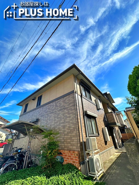サンベアーII
