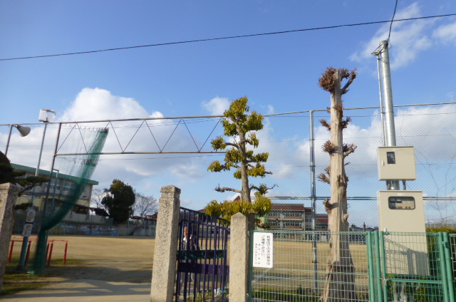 小学校　御所市立御所小学校（小学校）まで656m