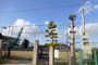 小学校　御所市立御所小学校（小学校）まで656m