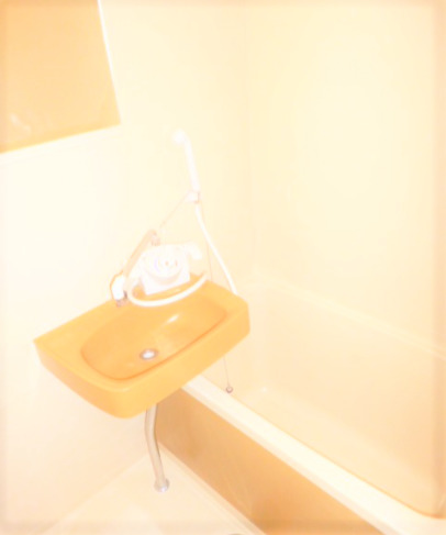 バス・シャワールーム　コンパクトで使いやすいお風呂です