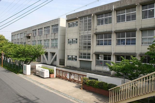小学校　大和郡山市立片桐小学校（小学校）まで1767m
