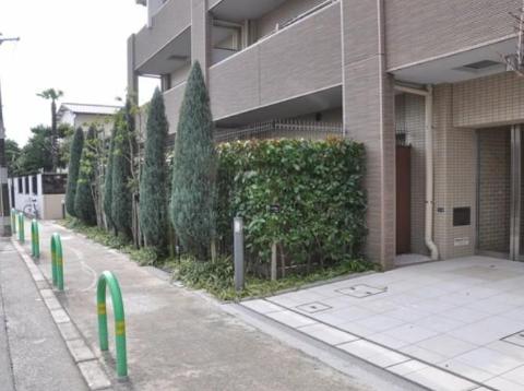 カサーレ茨木園田町　建物外観　外観写真（昼）