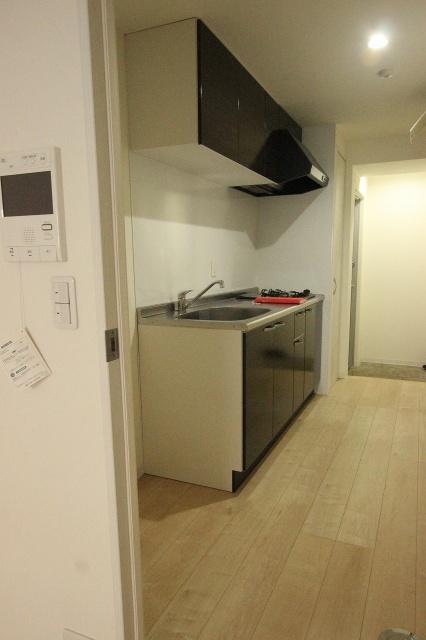 玄関　同物件、別号室のものです。