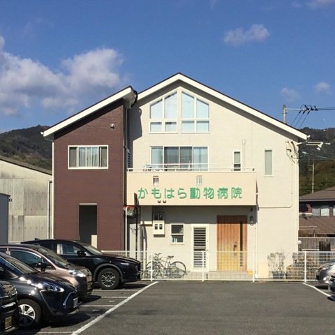 病院　かもはら動物病院（病院）まで817m