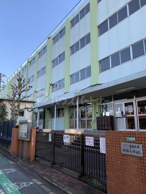小学校　葛飾区立新宿小学校（小学校）まで220m