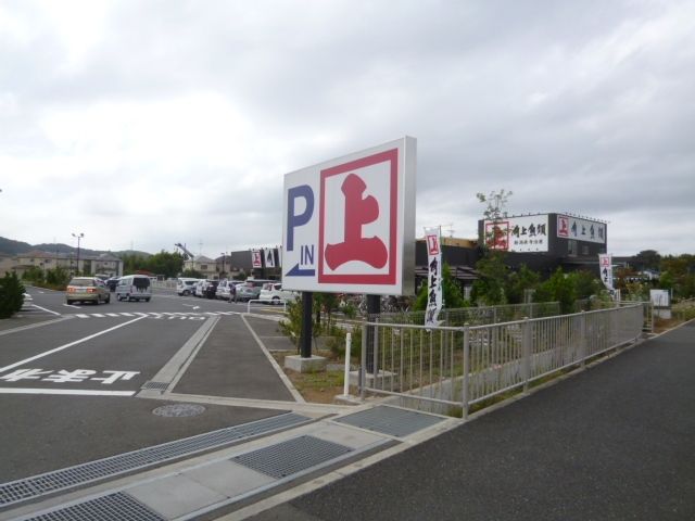 その他　角上魚類（その他）まで415m