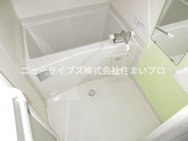ヒラソルカドマの風呂写真