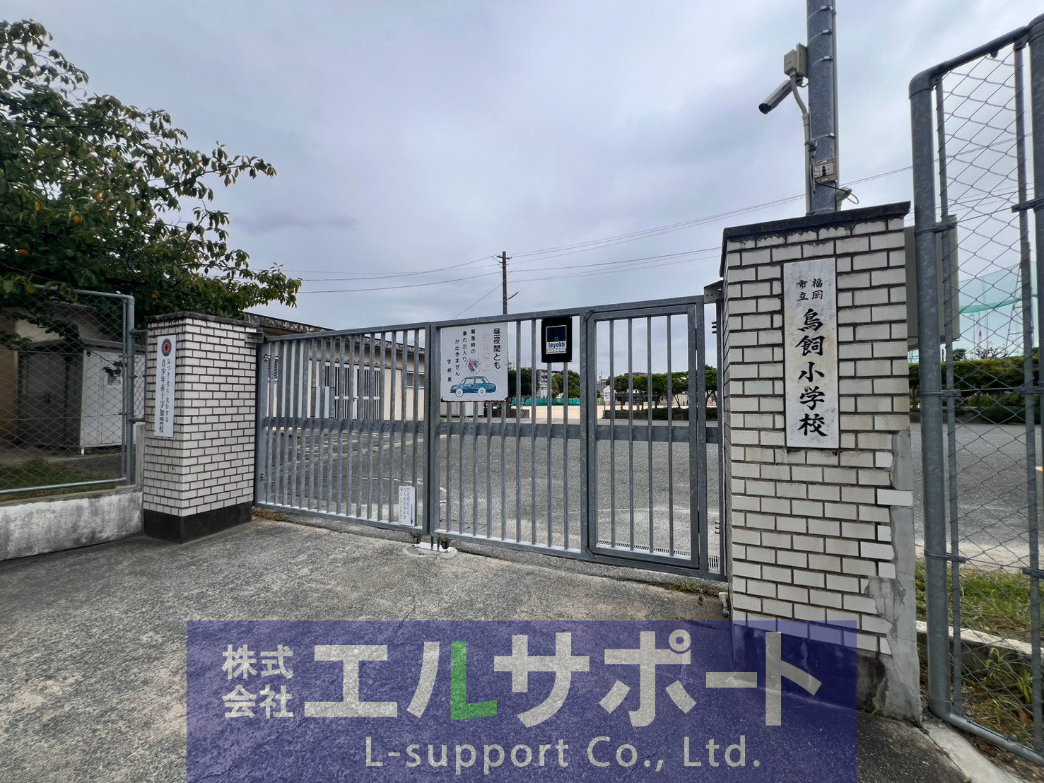 小学校　福岡市立鳥飼小学校（小学校）まで510m