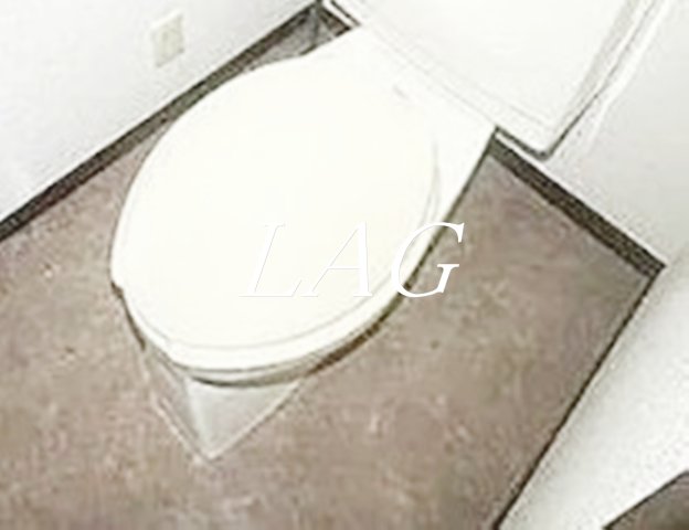 トイレ　トイレです。