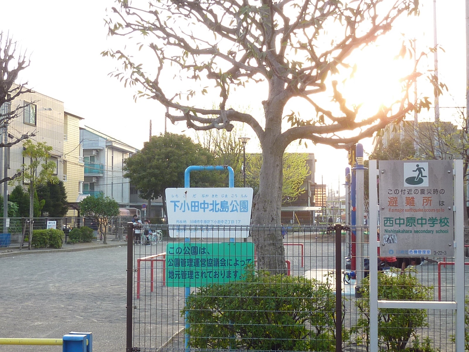 公園　下小田中北島公園（公園）まで50m