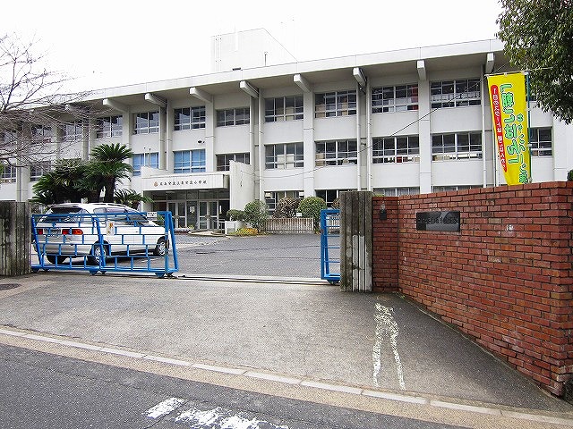 小学校　広島市立八幡東小学校（小学校）まで224m