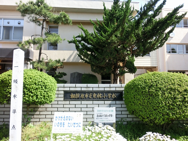 小学校　相模原市立東林小学校（小学校）まで425m