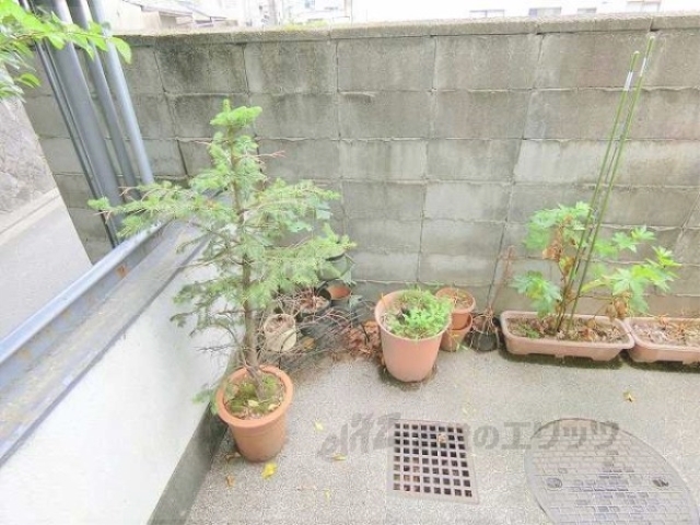 その他共有部分　植栽