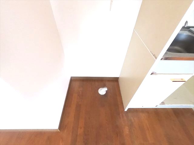 洗面設備　室内洗濯機置き場