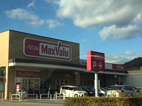 その他　マックスバリューまでおよそ250Ｍ