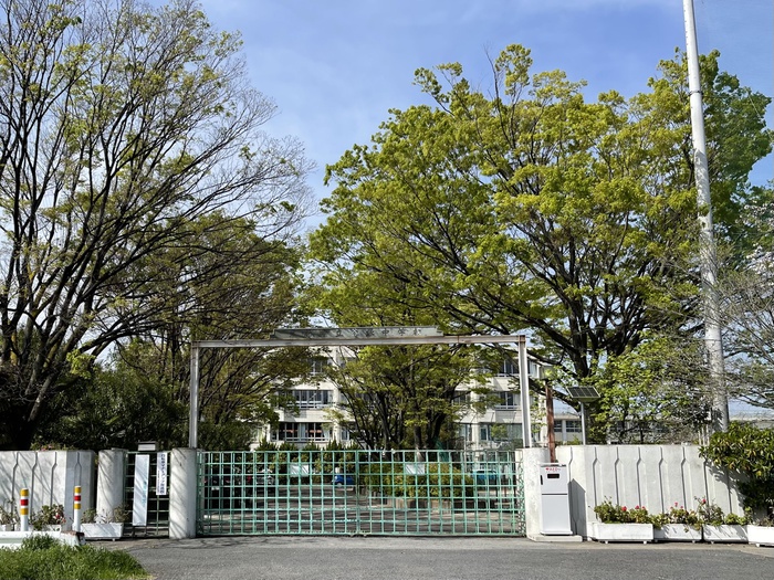 中学校　谷塚中学校（中学校）まで260m