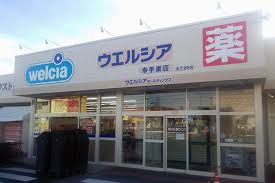 ドラックストア　ウエルシア幸手東店（ドラッグストア）まで593m