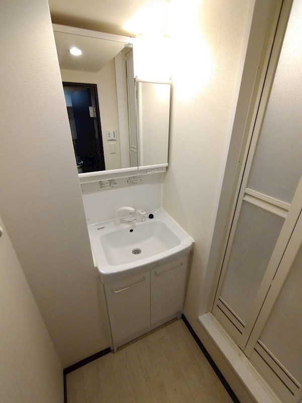 洗面設備　シャワー付きの洗面台