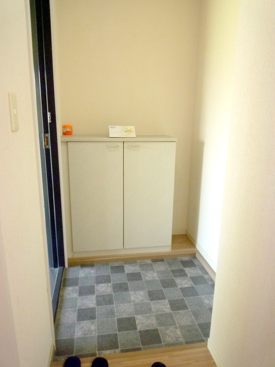 玄関　※参考写真　同建物の他の部屋です