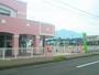 幼稚園・保育園　大浦保育園（幼稚園・保育園）まで350m