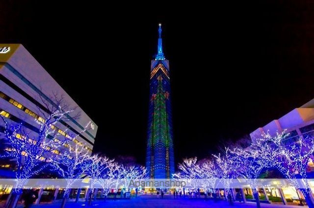 その他　福岡タワー（その他）まで1192m